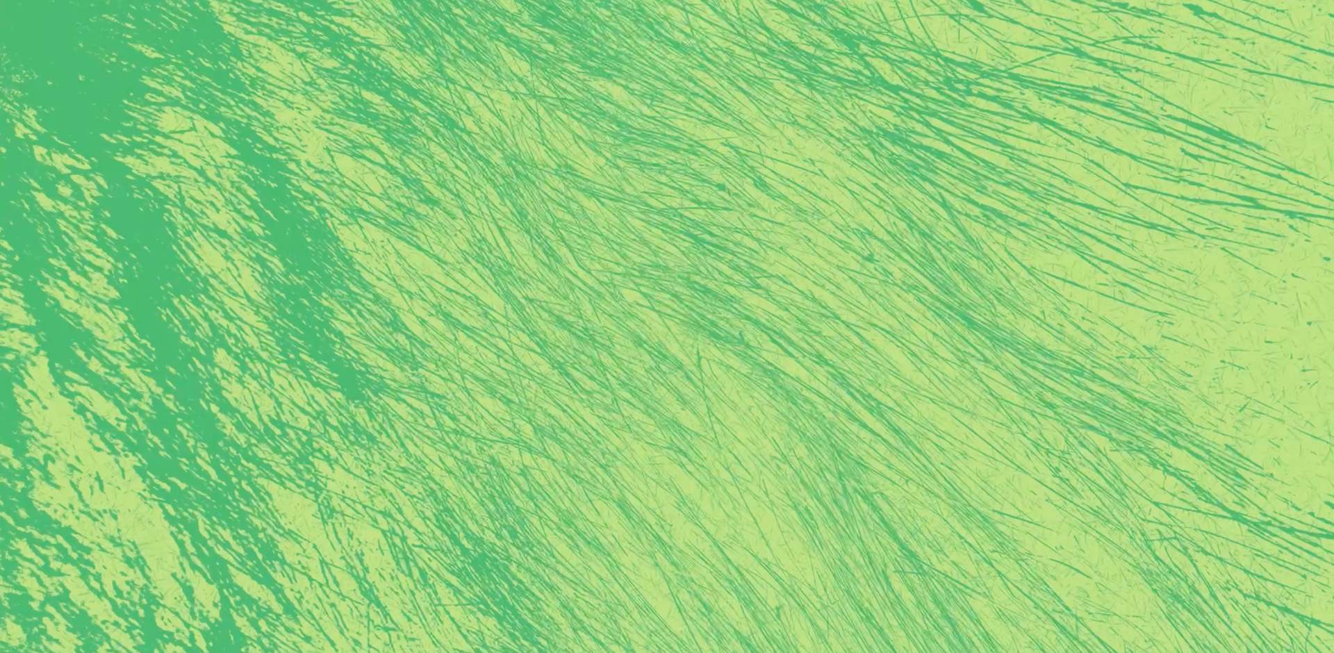 panda-1920x940.png