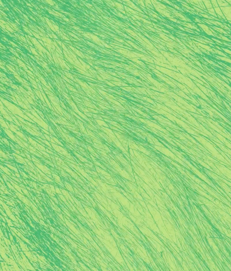 /Public/Uploads/uploadfile/images/20250905/panda-768x900.png