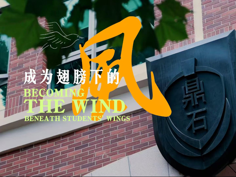 video-0910-800x600.jpg
