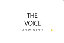 hear-their-voice.png