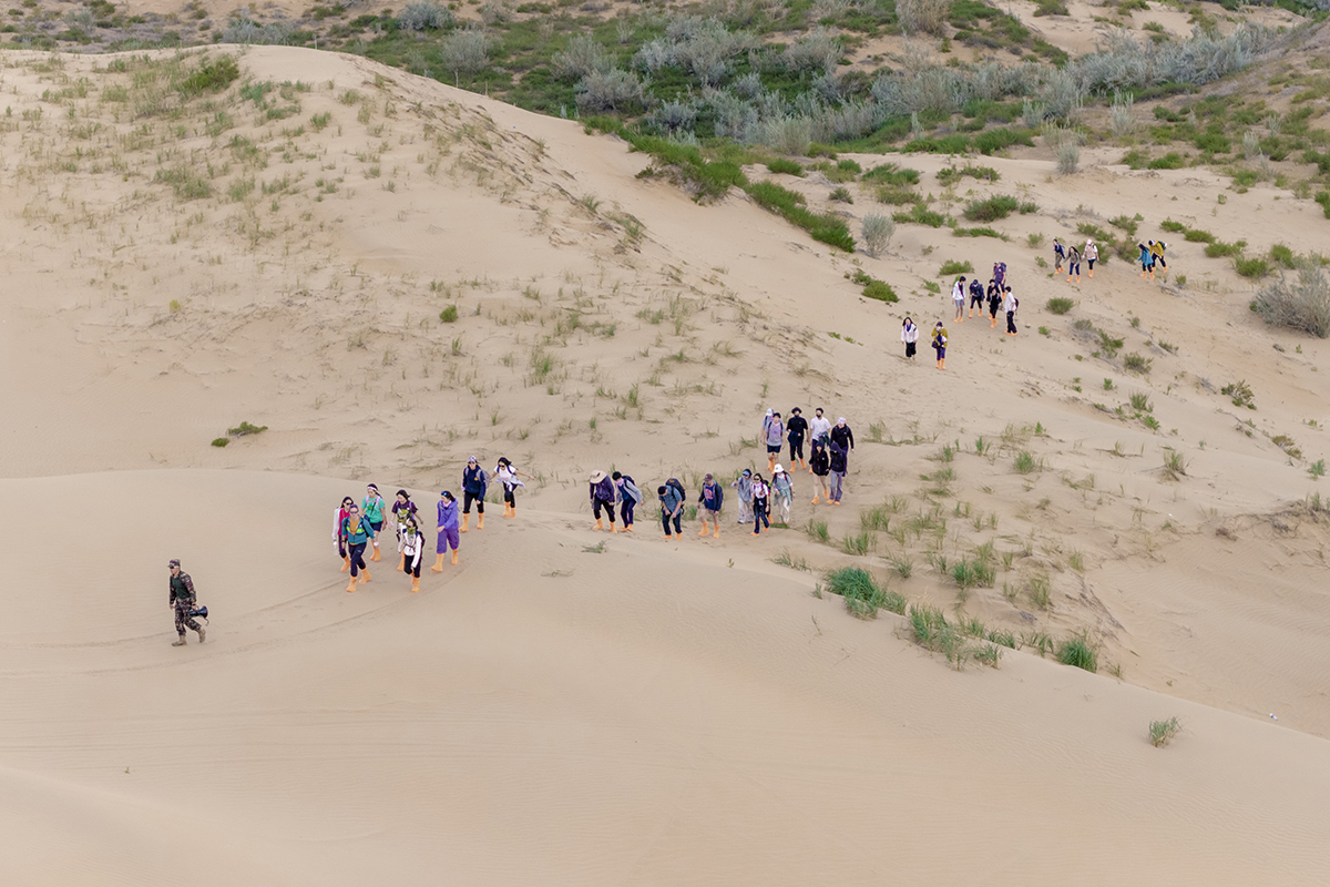 20250915-DJI_20250915174009_0151_D-228.jpg